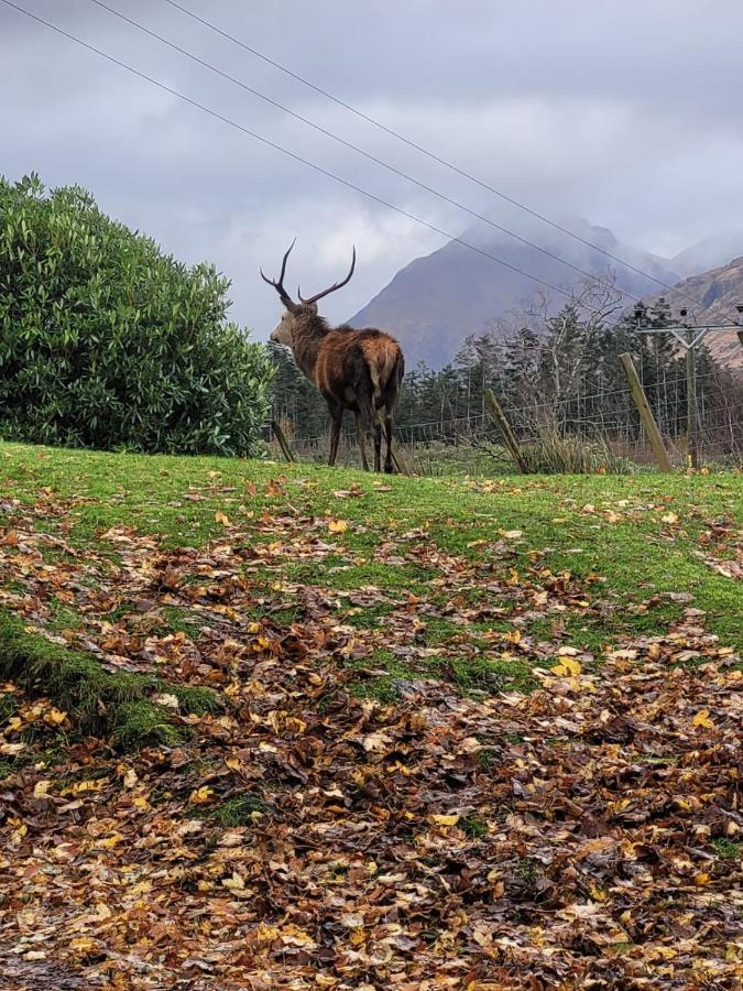 Ormasaig, Self Catering, One Mile To Town & Close To Ben Nevis Villa Fort William Bagian luar foto