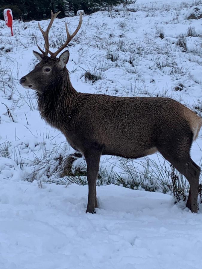 Ormasaig, Self Catering, One Mile To Town & Close To Ben Nevis Villa Fort William Bagian luar foto