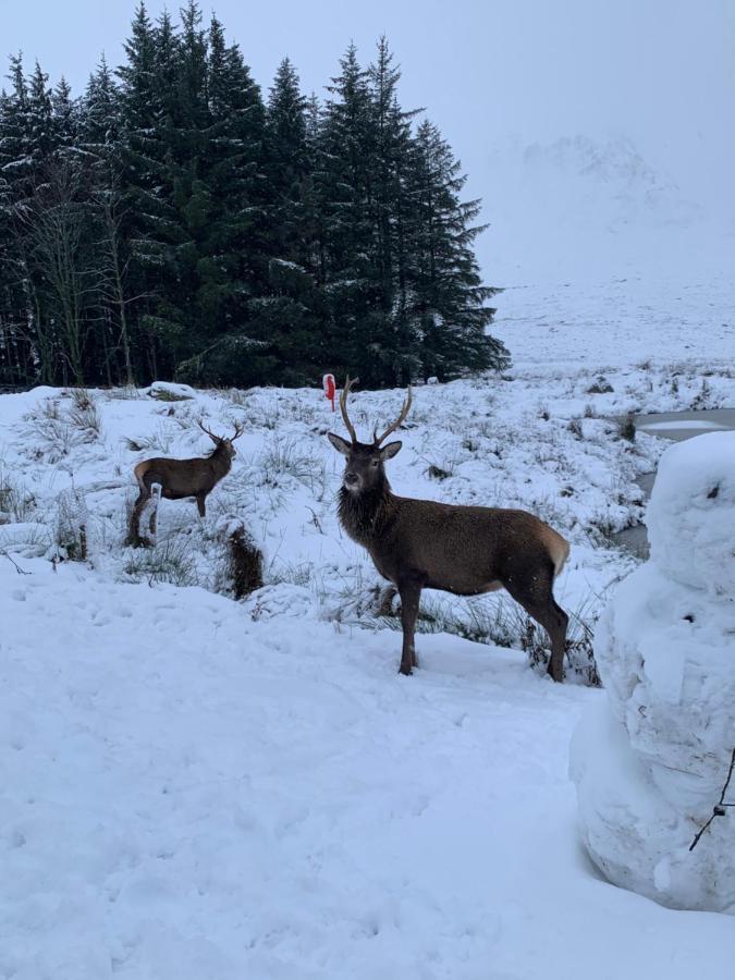 Ormasaig, Self Catering, One Mile To Town & Close To Ben Nevis Villa Fort William Bagian luar foto